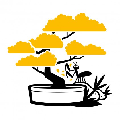 vinilos infantiles asia bonsai