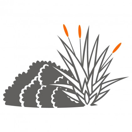 vinilos infantiles matorral