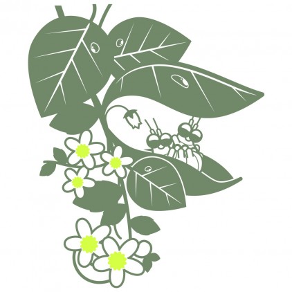 stickers enfant insectes nature jardin bébés coccinelles