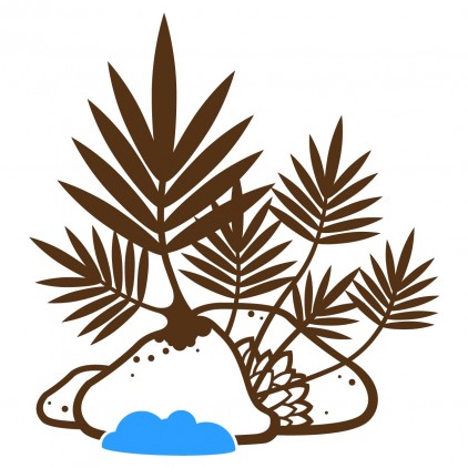 vinilos infantiles cama jungla selva tropical planta