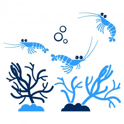 Sticker Fonds Marins Crevettes Corail Stickers Bebes Enfants E Glue Deco Murale Chambre Enfant