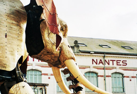 le grand éléphant
