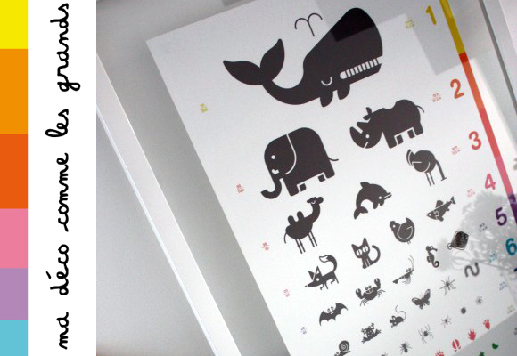 POSTER by E-GLUE STUDIO // animal eye chart - © photo : Magaly Pillot