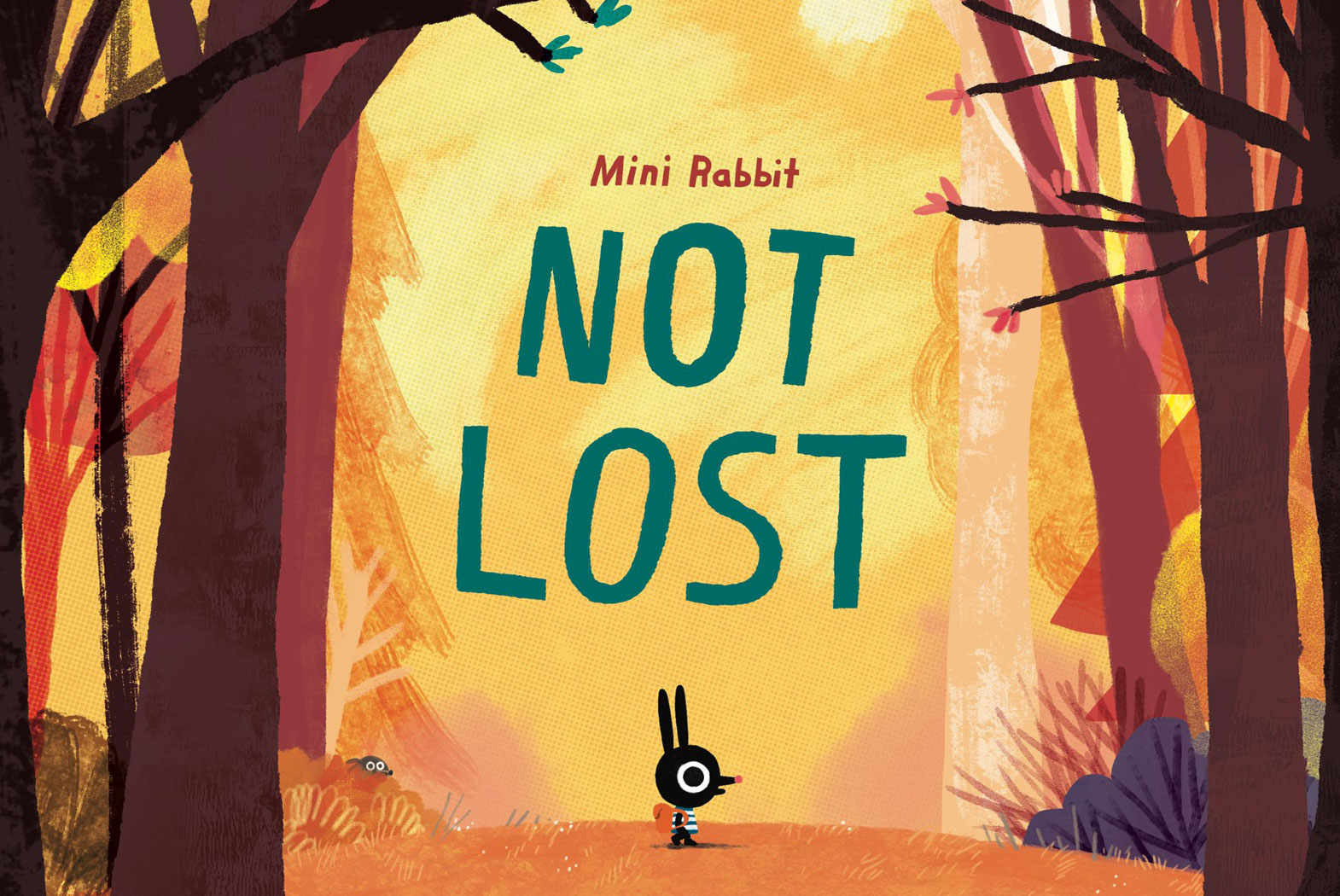 Mini Rabbit Not Lost - John Bond